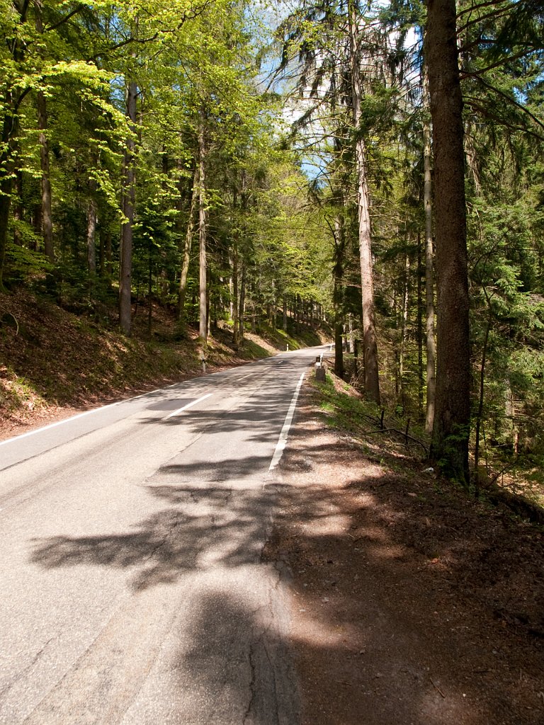 P4270722.jpg - OLYMPUS DIGITAL CAMERA