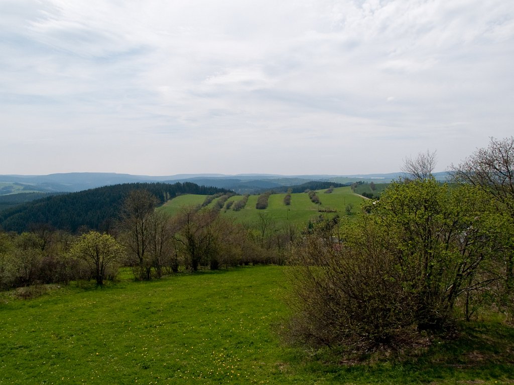 P4290904.jpg - OLYMPUS DIGITAL CAMERA