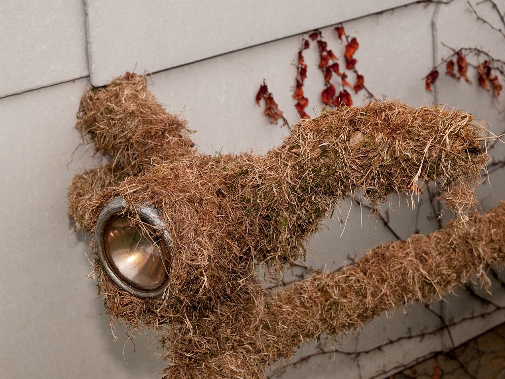 P5011106.jpg - OLYMPUS DIGITAL CAMERA