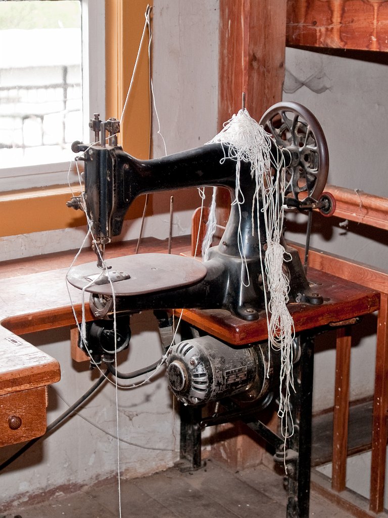 P5011203.jpg - OLYMPUS DIGITAL CAMERA