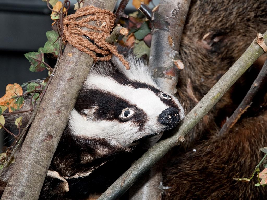 P3031302.jpg - OLYMPUS DIGITAL CAMERA