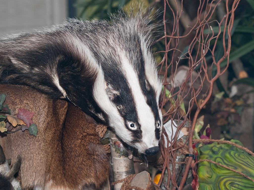 P3031308.jpg - OLYMPUS DIGITAL CAMERA