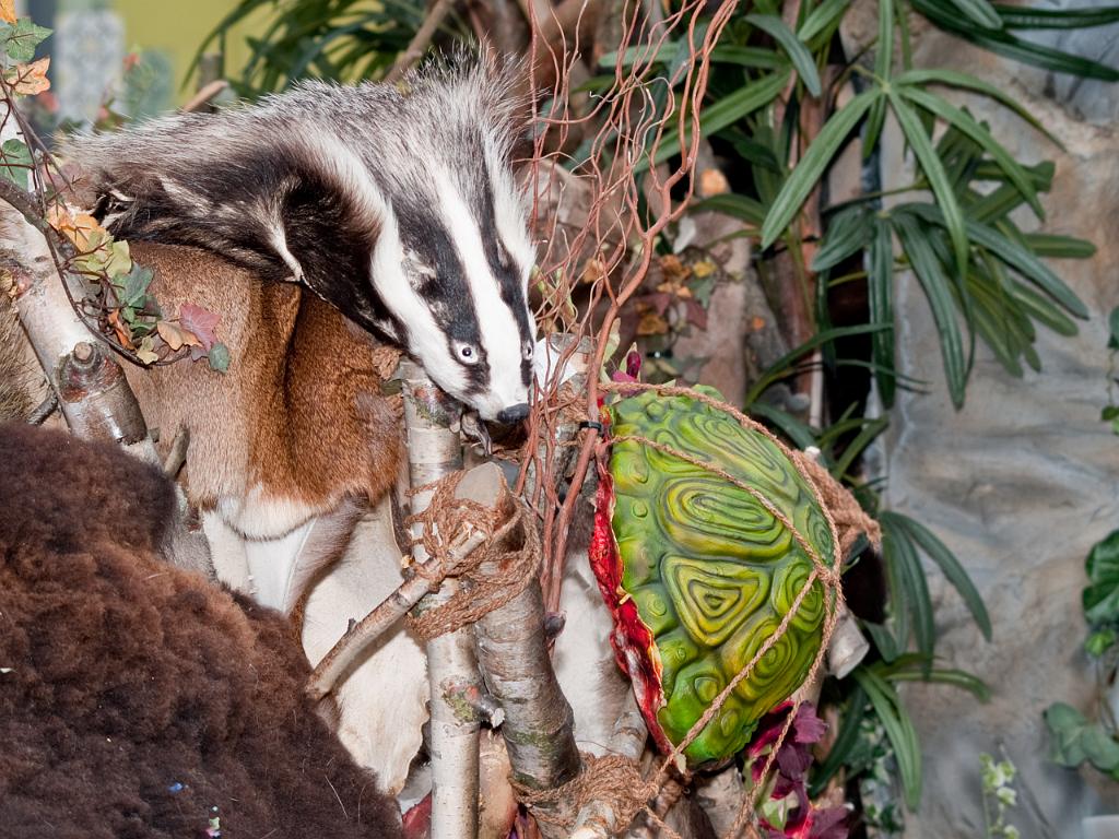 P3031310.jpg - OLYMPUS DIGITAL CAMERA