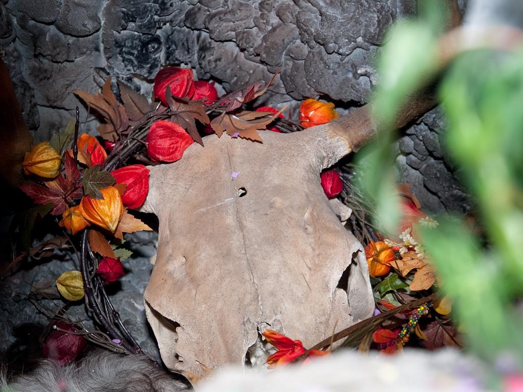 P3031457.jpg - OLYMPUS DIGITAL CAMERA