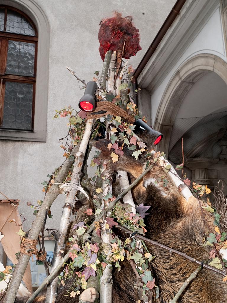 P3031460.jpg - OLYMPUS DIGITAL CAMERA