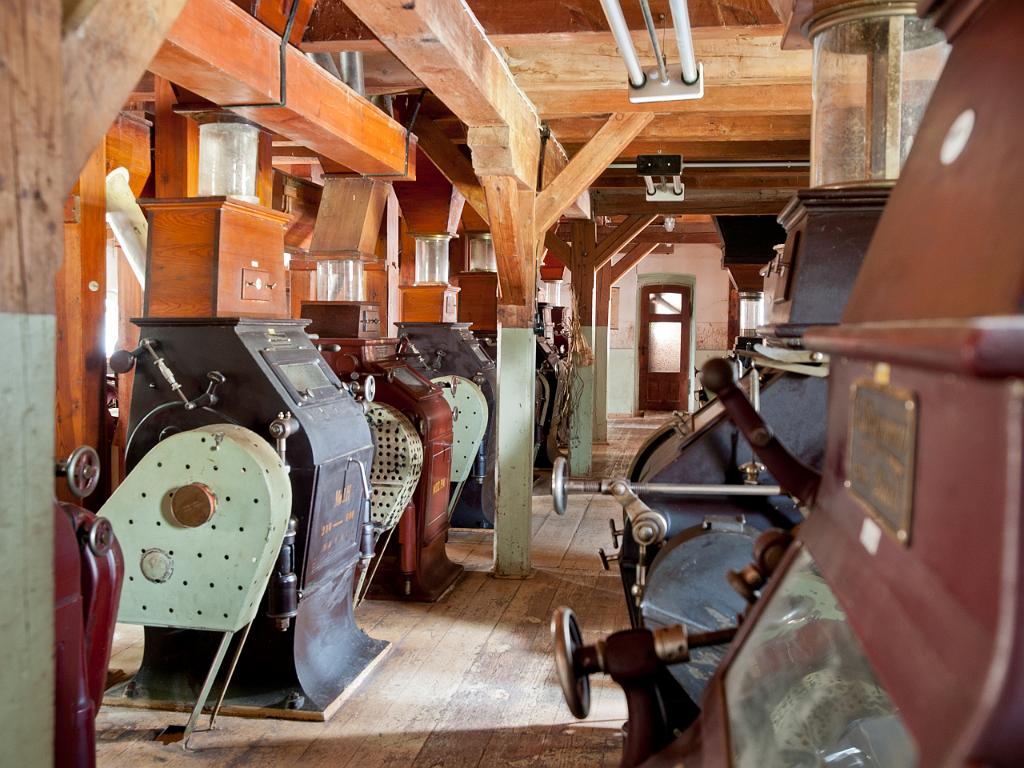 P4291781.jpg - OLYMPUS DIGITAL CAMERA