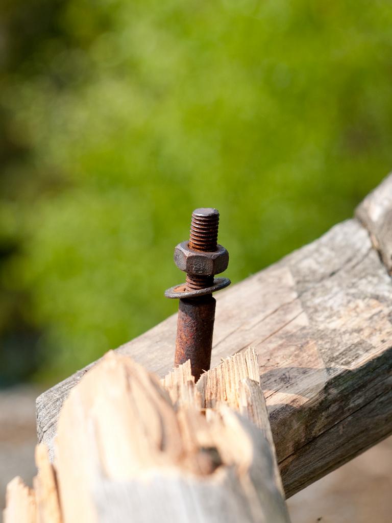 P4302065.jpg - OLYMPUS DIGITAL CAMERA