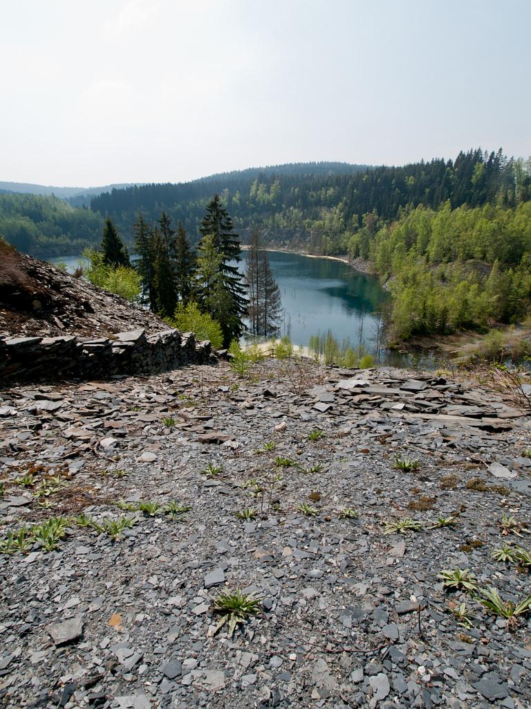 P4302070.jpg - OLYMPUS DIGITAL CAMERA