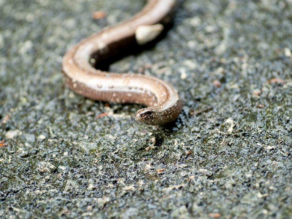 P4302079.jpg - OLYMPUS DIGITAL CAMERA