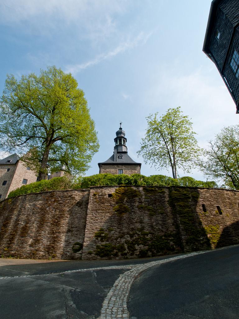 P4302081.jpg - OLYMPUS DIGITAL CAMERA