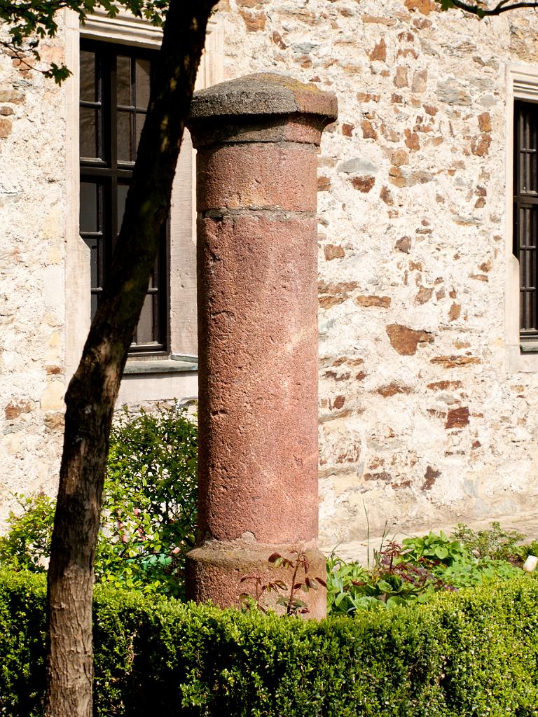 P4302133.jpg - OLYMPUS DIGITAL CAMERA