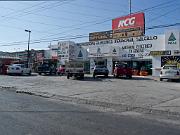 P6040518