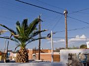 P6040565