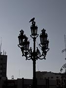 P6040587