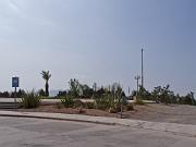 P6040683