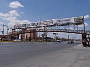 P6050956