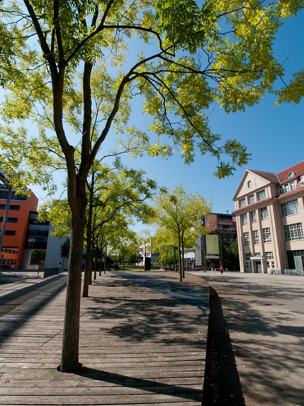 P8203088.jpg - OLYMPUS DIGITAL CAMERA