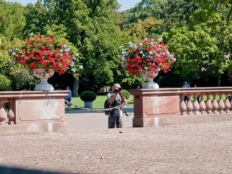 P8203168.jpg - OLYMPUS DIGITAL CAMERA