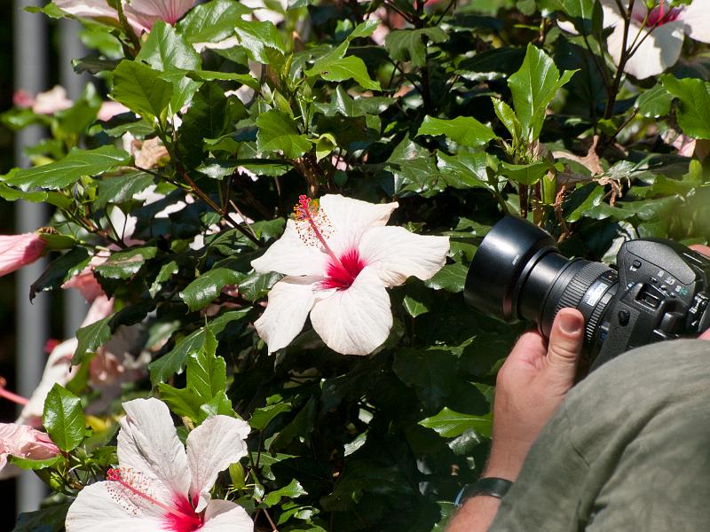 P8203184.jpg - OLYMPUS DIGITAL CAMERA