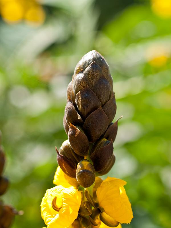 P8203205.jpg - OLYMPUS DIGITAL CAMERA