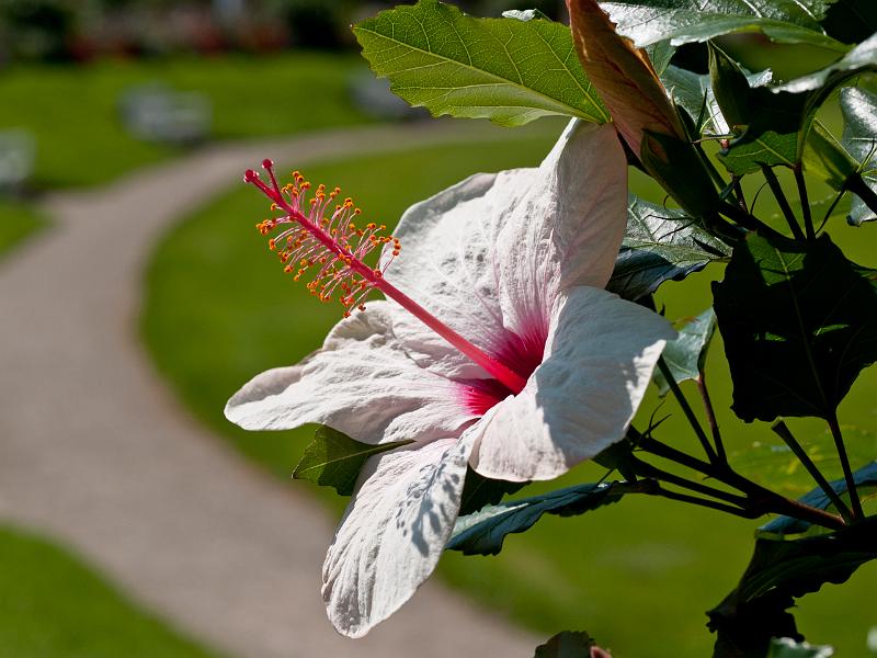 P8203208.jpg - OLYMPUS DIGITAL CAMERA