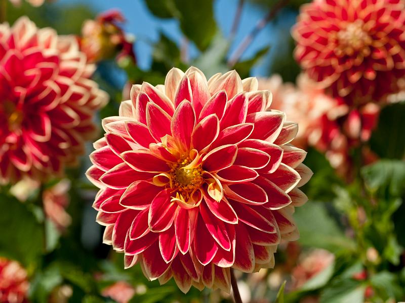 P8203230.jpg - OLYMPUS DIGITAL CAMERA