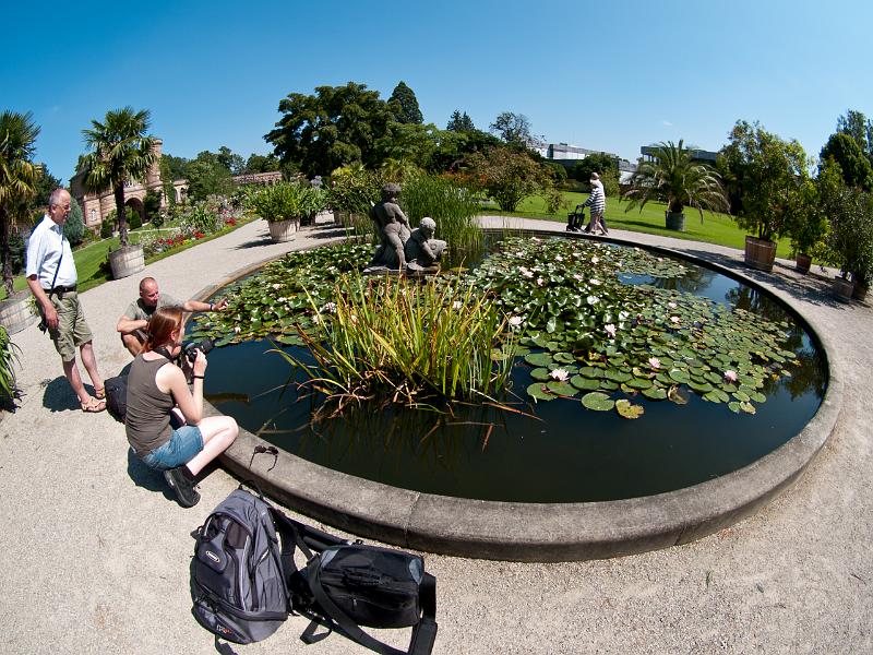 P8203252.jpg - OLYMPUS DIGITAL CAMERA