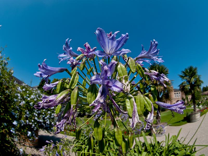 P8203258.jpg - OLYMPUS DIGITAL CAMERA