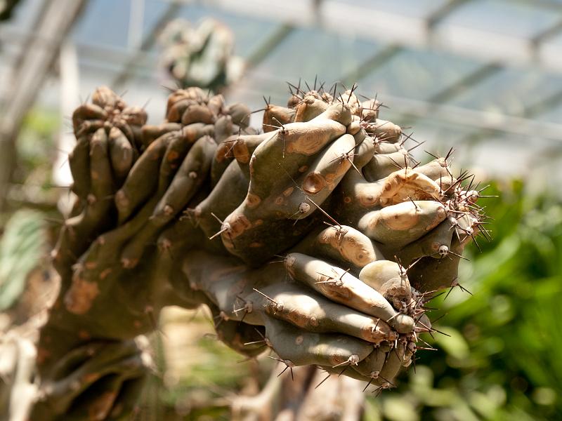 P8203280.jpg - OLYMPUS DIGITAL CAMERA