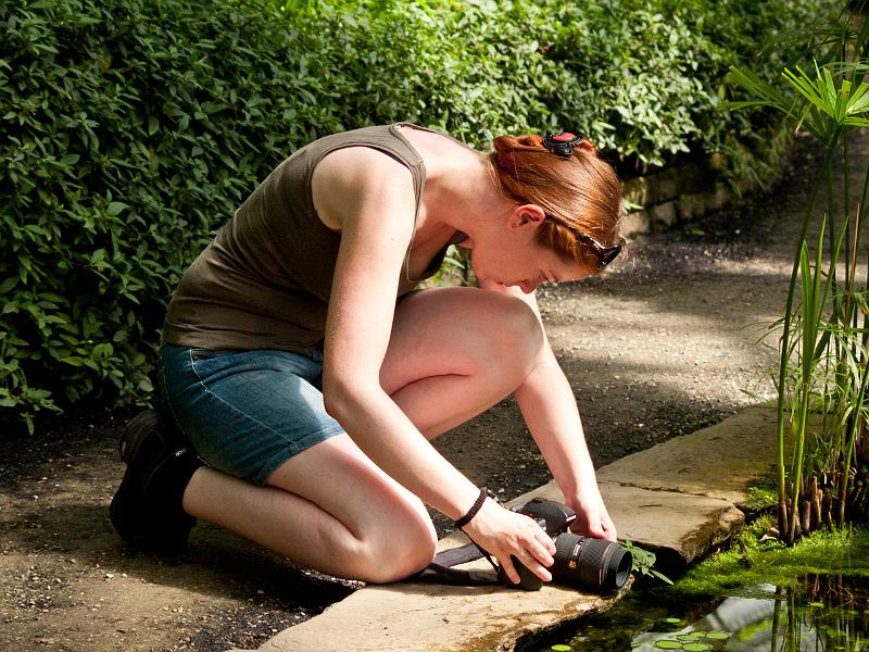 P8203295.jpg - OLYMPUS DIGITAL CAMERA