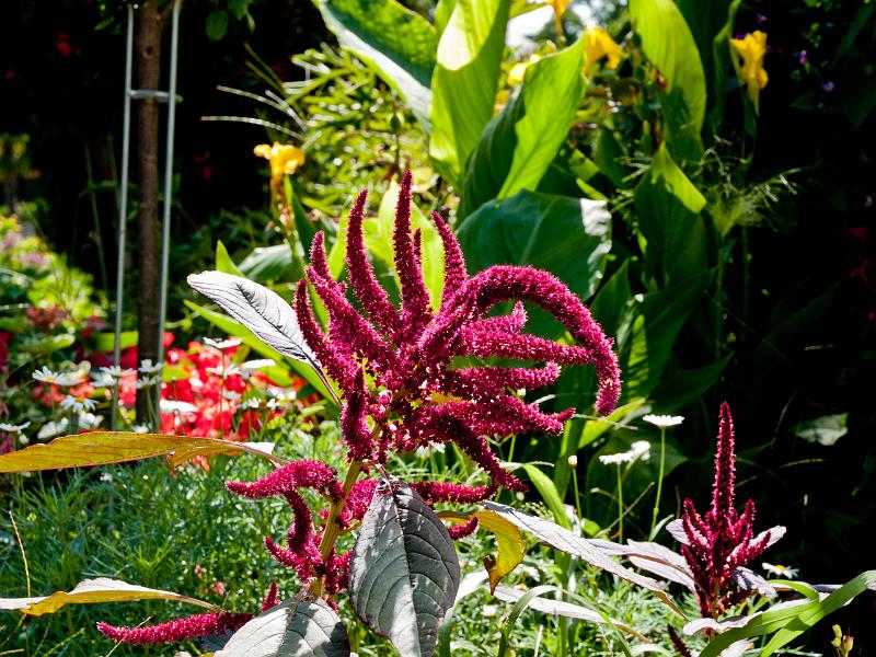 P8203308.jpg - OLYMPUS DIGITAL CAMERA