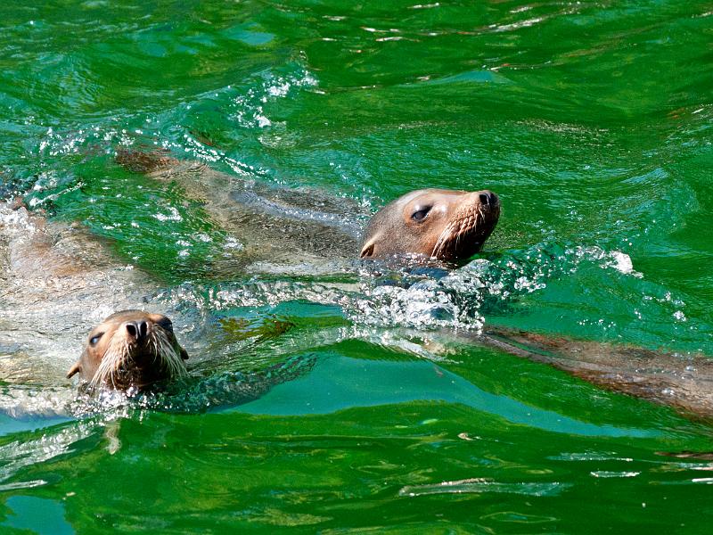 P8203335.jpg - OLYMPUS DIGITAL CAMERA