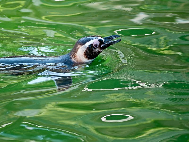 P8203391.jpg - OLYMPUS DIGITAL CAMERA