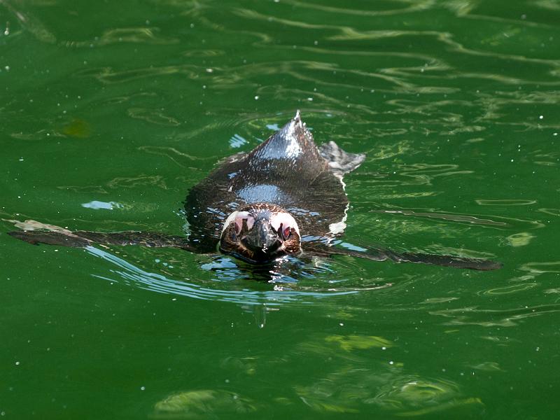 P8203395.jpg - OLYMPUS DIGITAL CAMERA