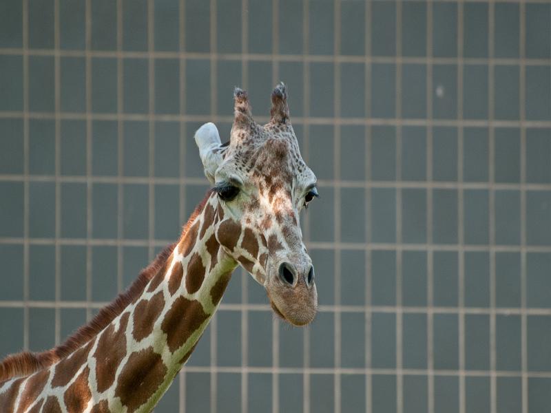 P8203411.jpg - OLYMPUS DIGITAL CAMERA