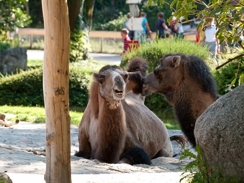 P8203478.jpg - OLYMPUS DIGITAL CAMERA