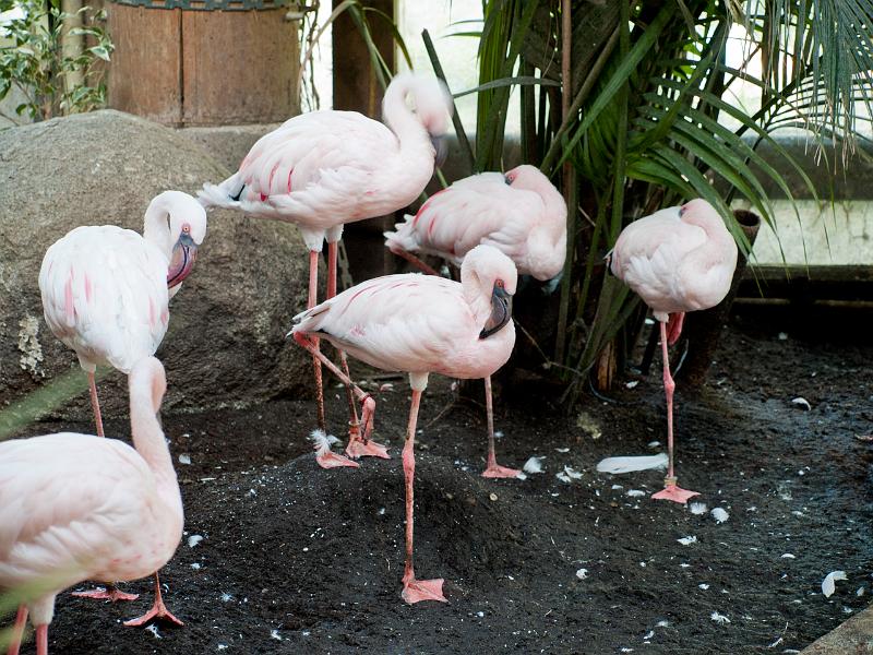 P8203553.jpg - OLYMPUS DIGITAL CAMERA