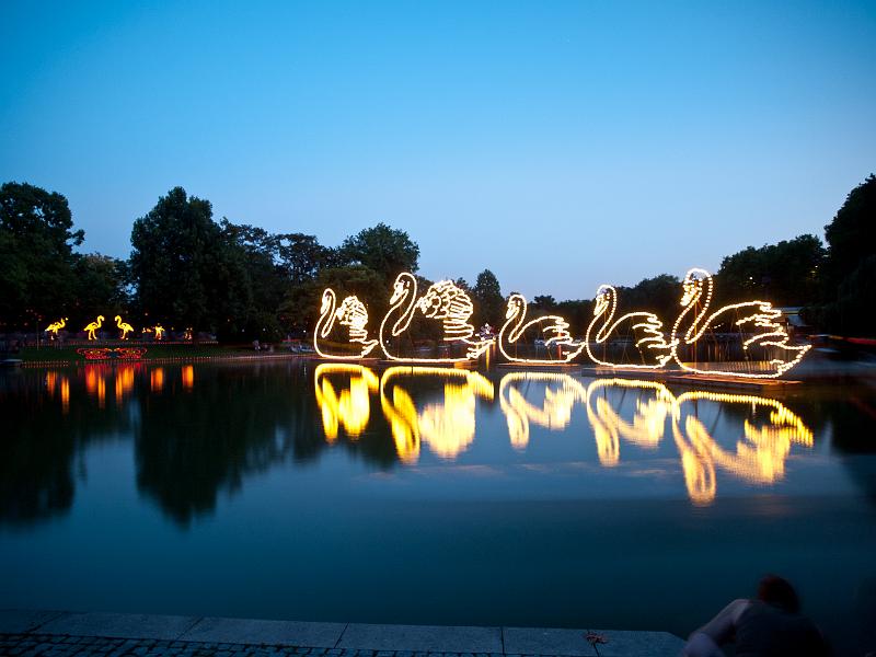 P8203638.jpg - OLYMPUS DIGITAL CAMERA