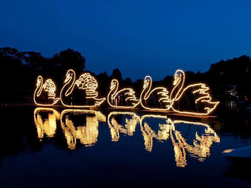 P8203644.jpg - OLYMPUS DIGITAL CAMERA