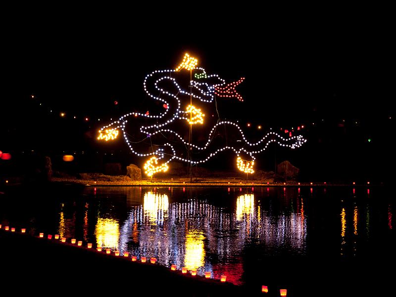 P8203665.jpg - OLYMPUS DIGITAL CAMERA