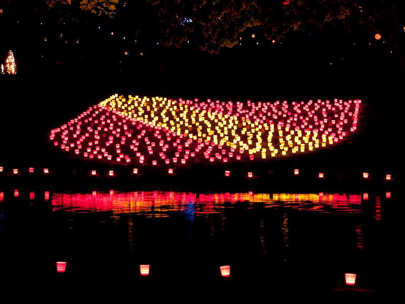 P8203680.jpg - OLYMPUS DIGITAL CAMERA