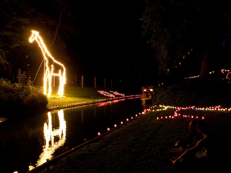 P8203685.jpg - OLYMPUS DIGITAL CAMERA