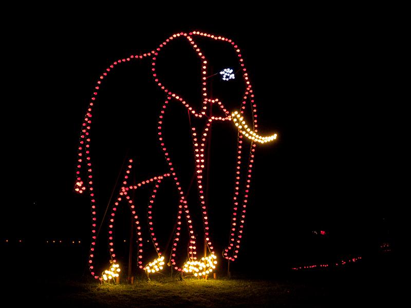 P8203732.jpg - OLYMPUS DIGITAL CAMERA