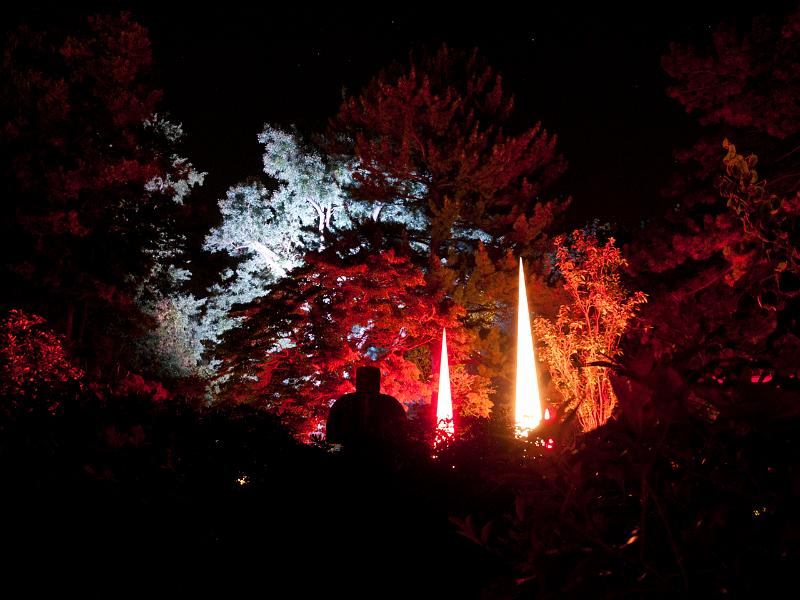 P8203739.jpg - OLYMPUS DIGITAL CAMERA