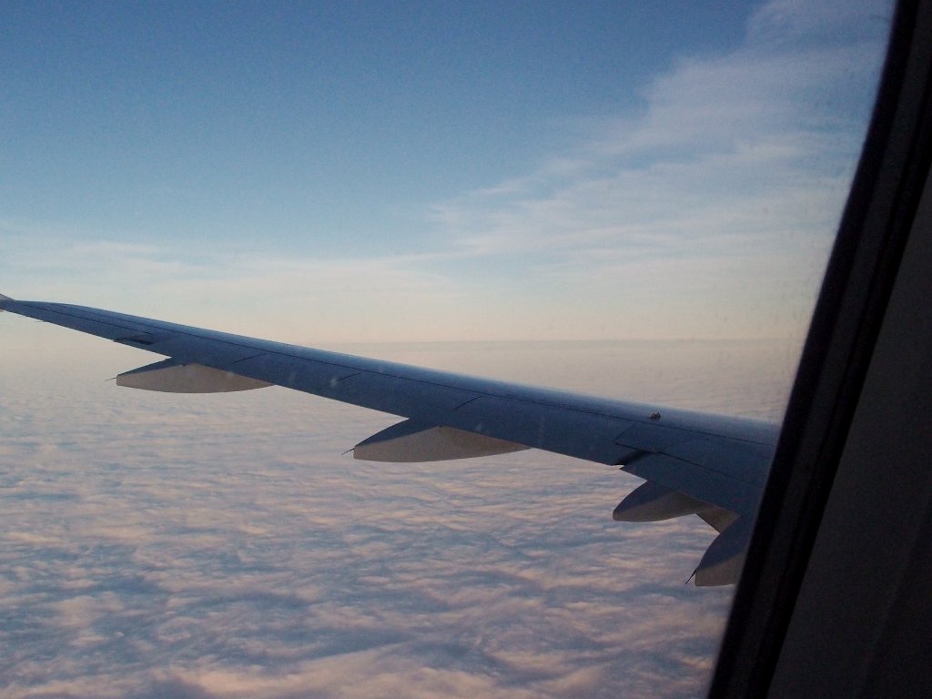 PC260375.jpg - OLYMPUS DIGITAL CAMERA