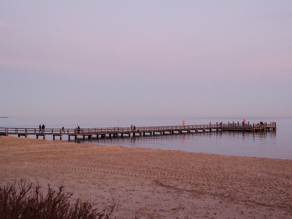 PC270453.jpg - OLYMPUS DIGITAL CAMERA