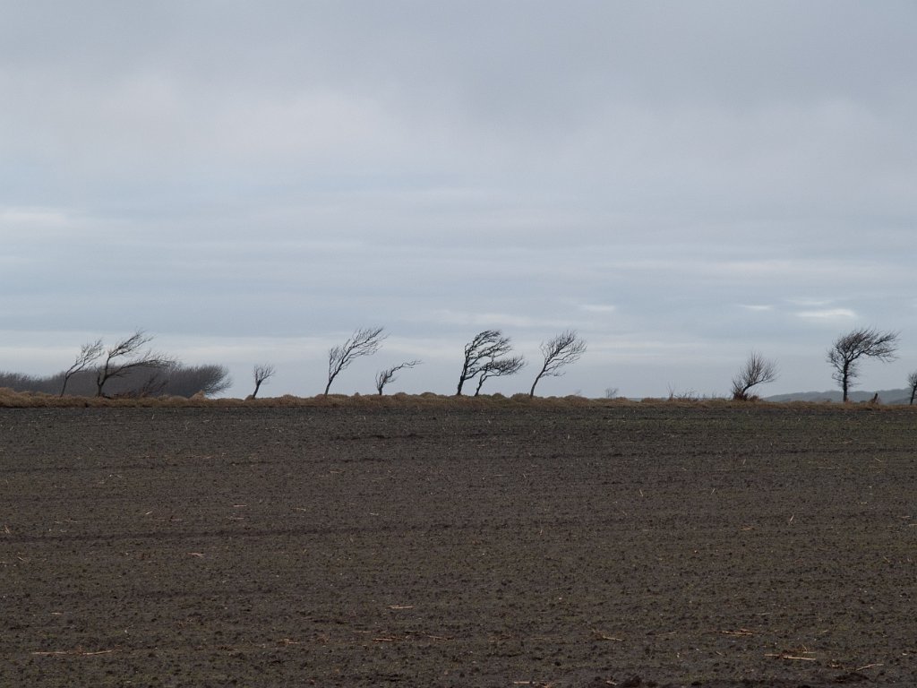 PC275501.jpg - OLYMPUS DIGITAL CAMERA