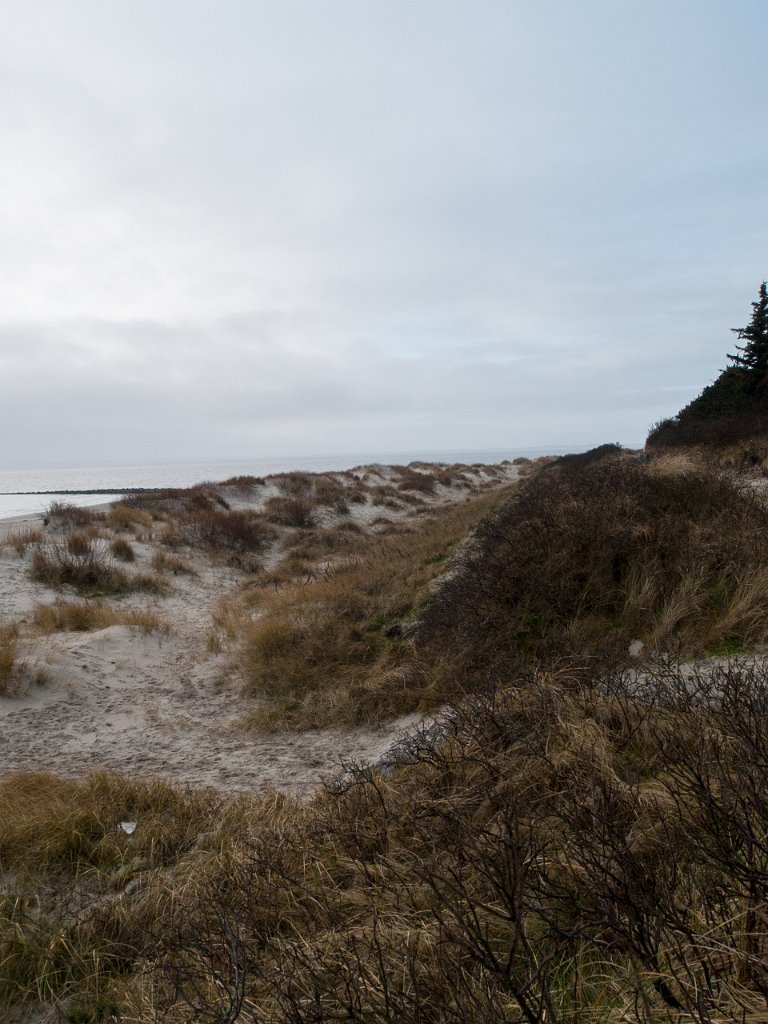 PC275506.jpg - OLYMPUS DIGITAL CAMERA