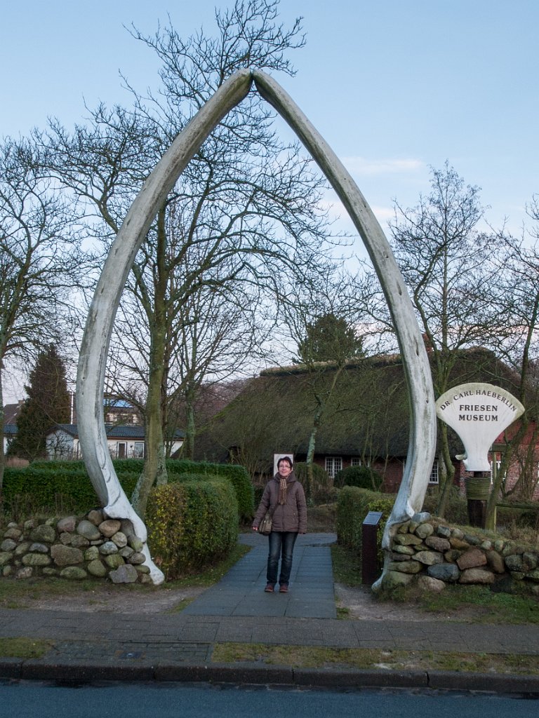 PC275605.jpg - OLYMPUS DIGITAL CAMERA