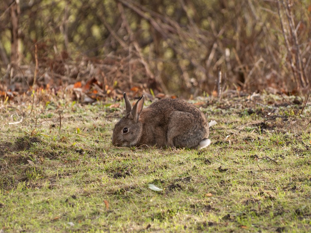 PC285676.jpg - OLYMPUS DIGITAL CAMERA